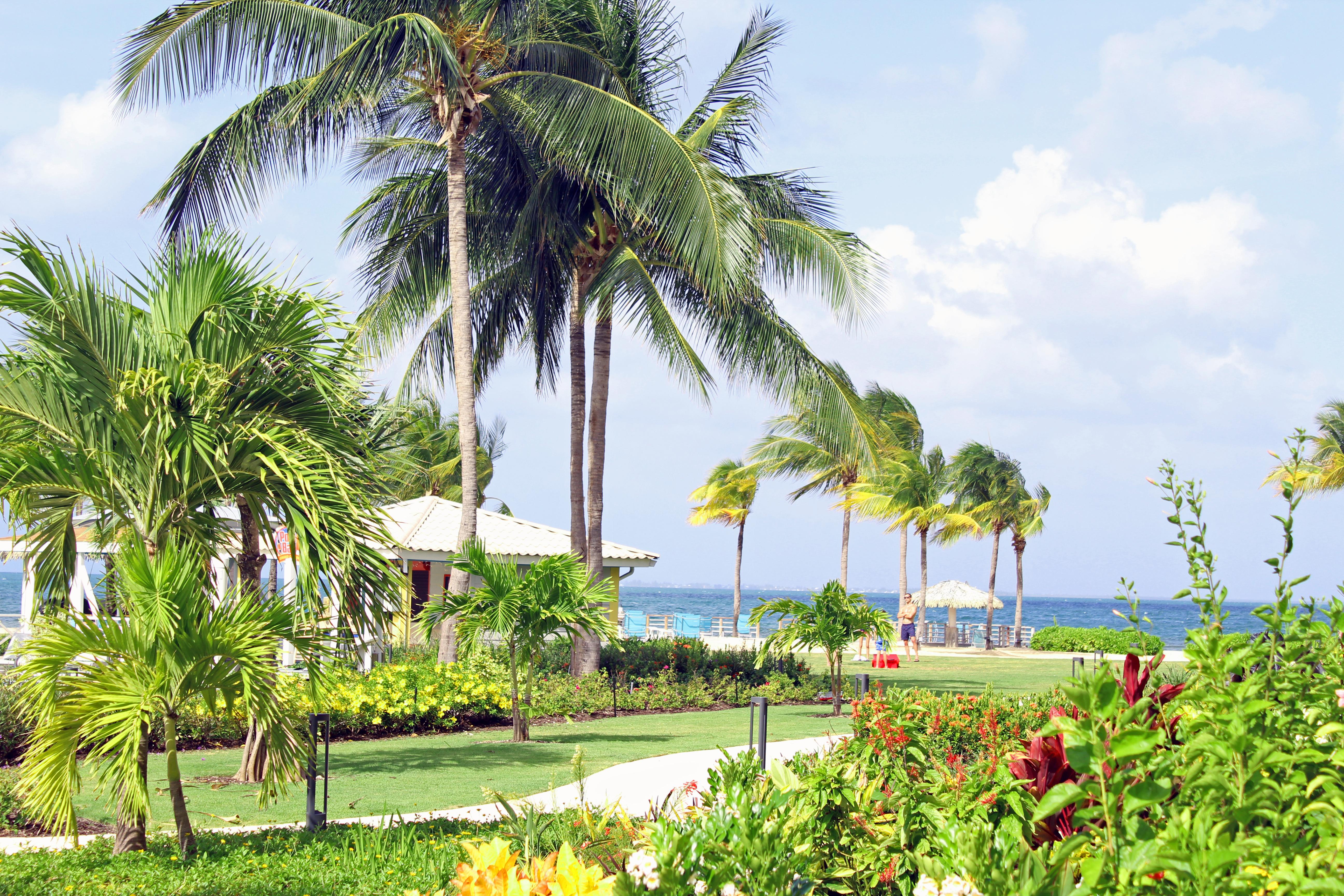 The Grand Caymanian Resort ジョージ・タウン エクステリア 写真