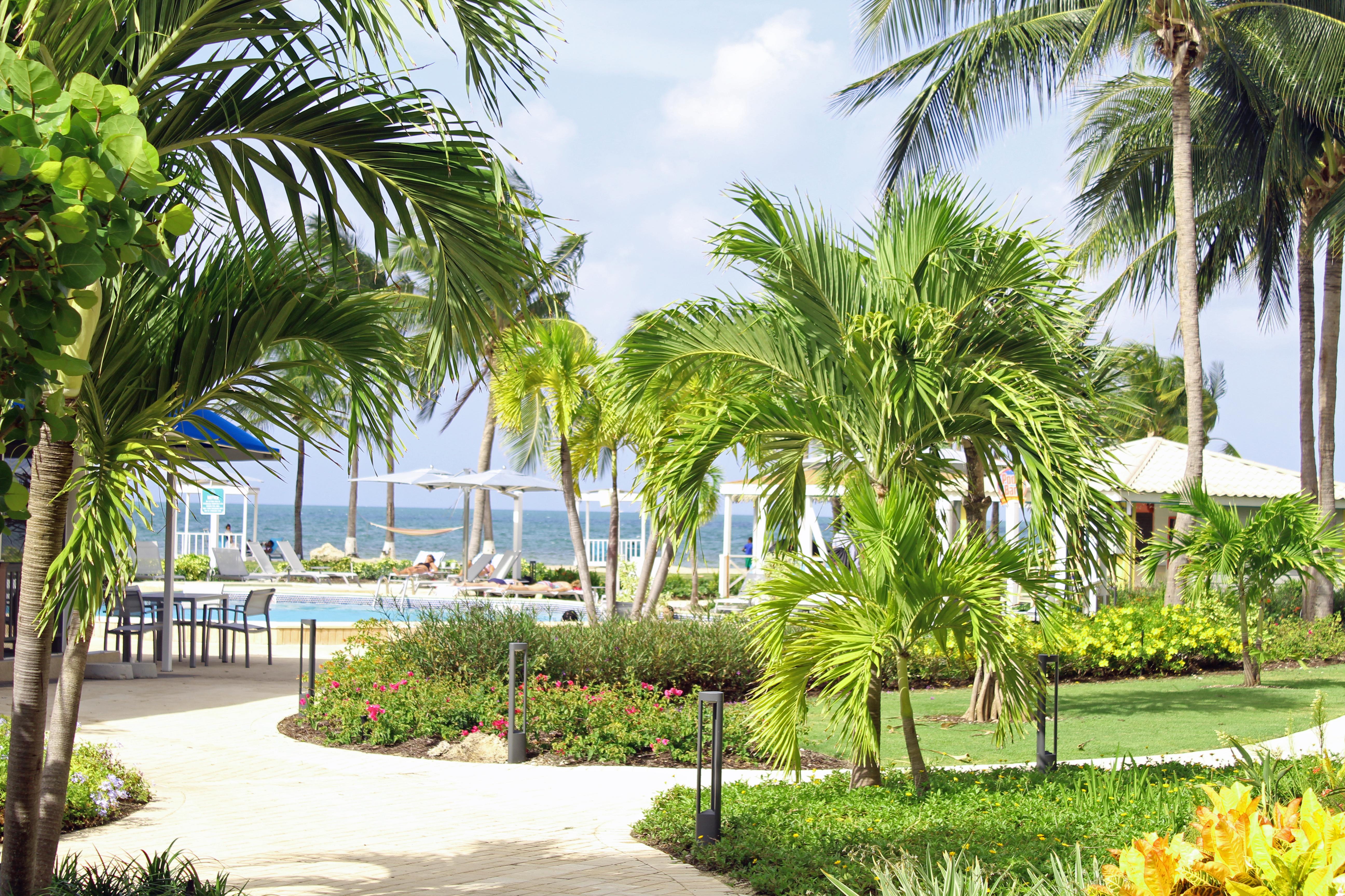 The Grand Caymanian Resort ジョージ・タウン エクステリア 写真